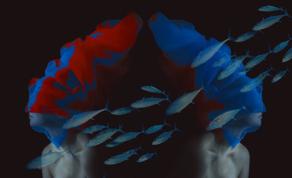 Photograph by Анастасия Голубева