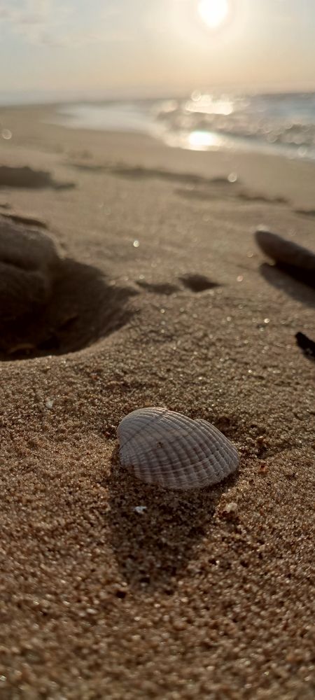 Photograph by Александра Семенас