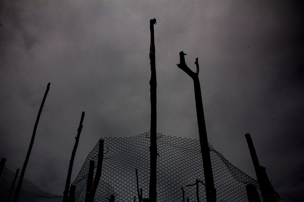 Photograph by Danilo Lima