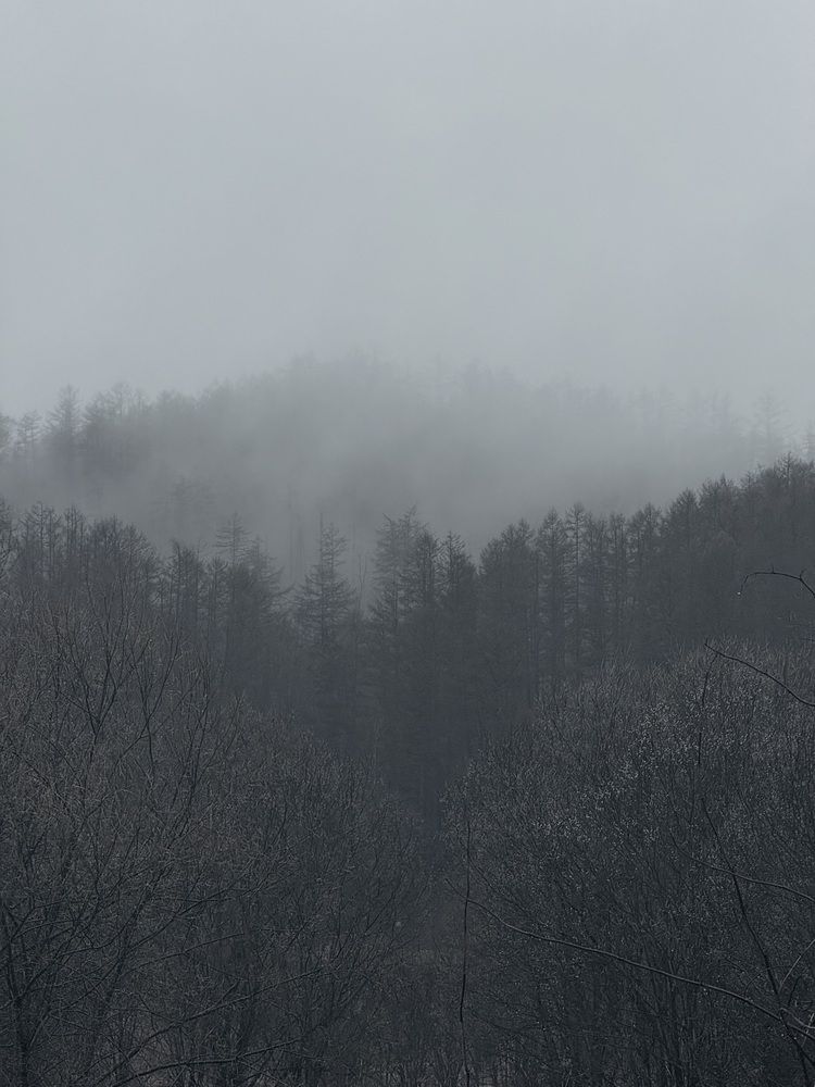 Фотография автора Елена Меньшикова