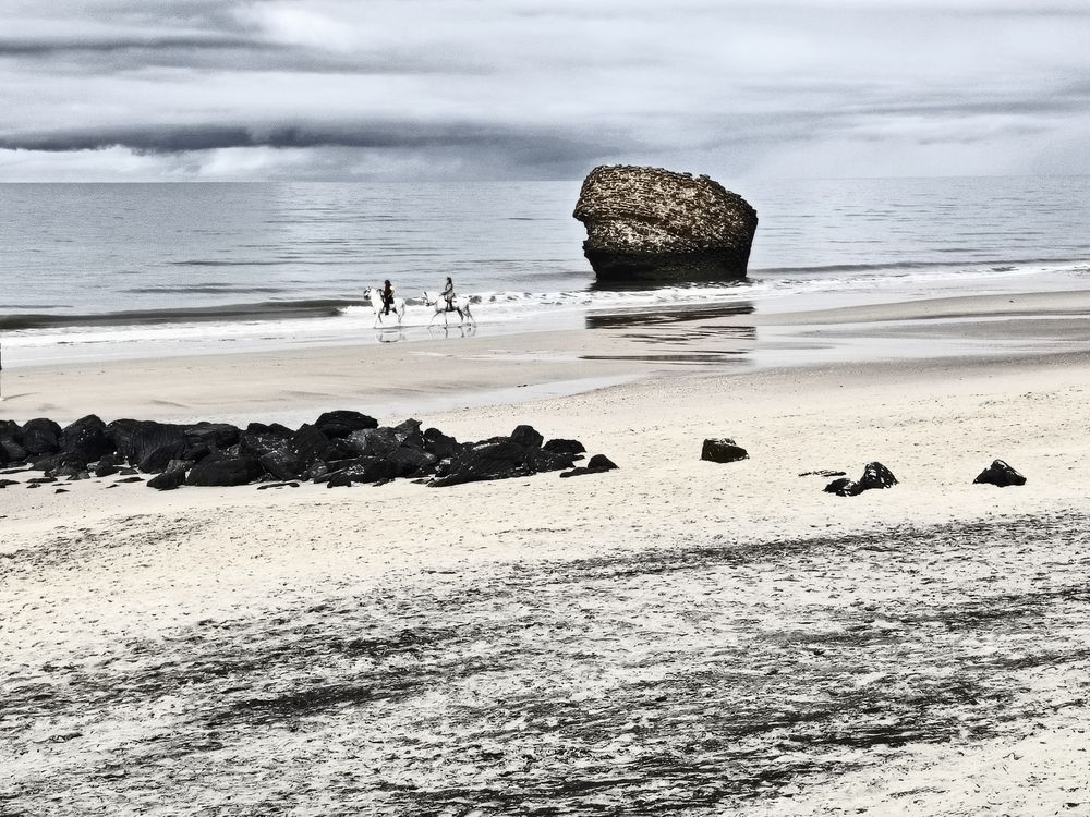 Photo #12171884