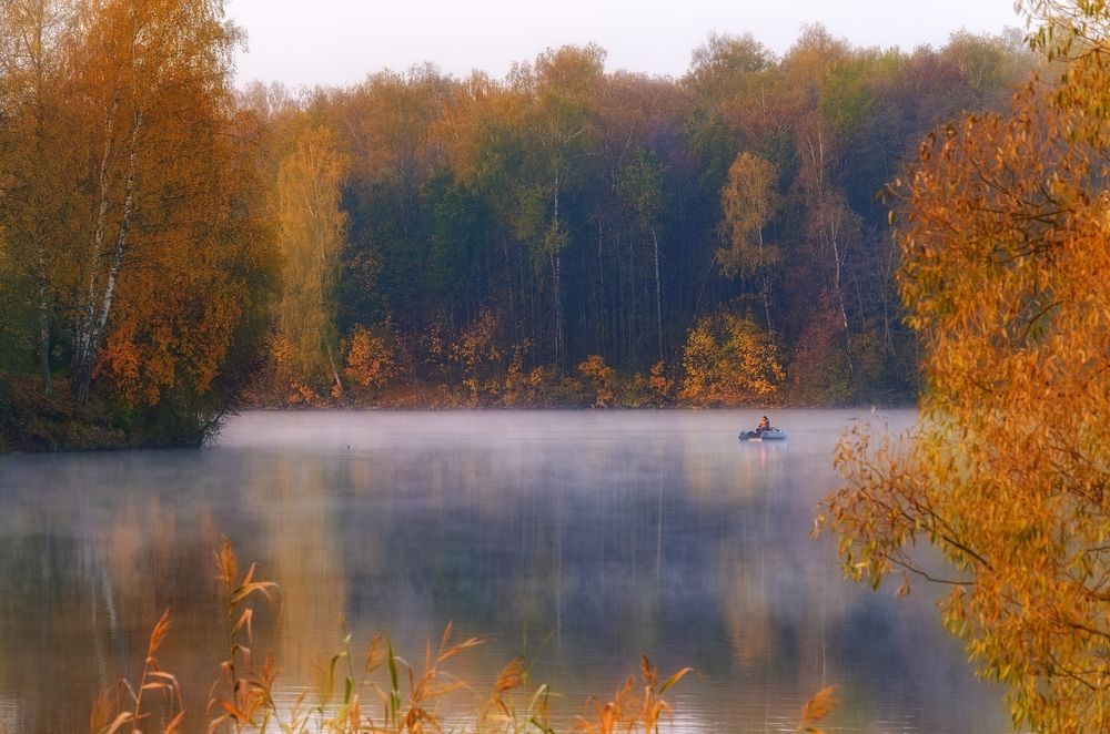 Photograph by Михаил Косолапов
