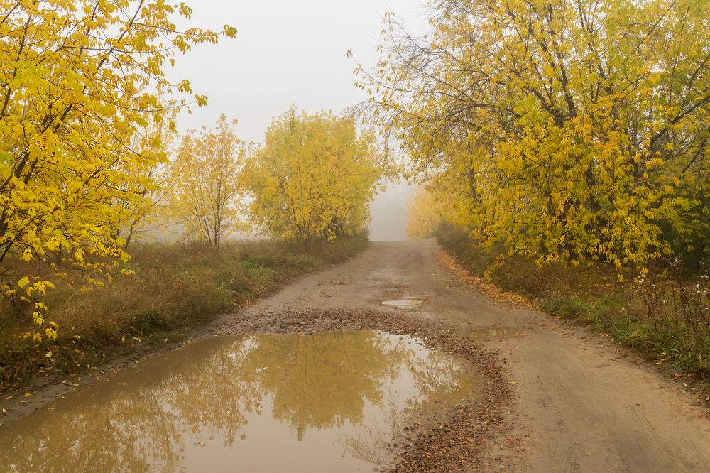 Photograph by Koledova Irina