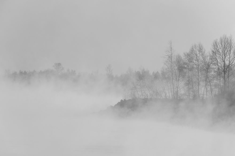 Photograph by Koledova Irina