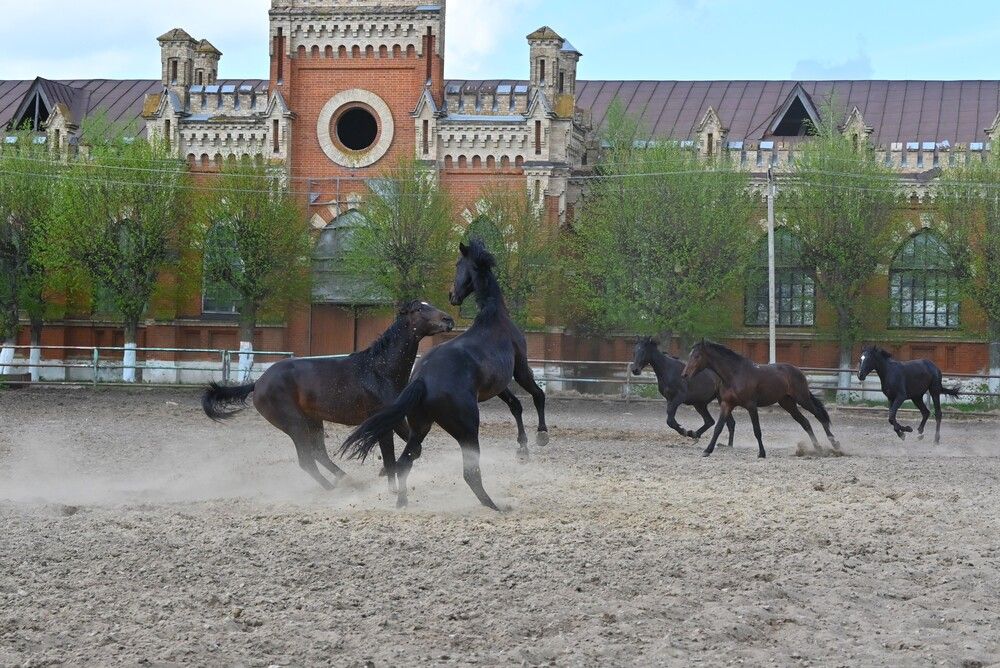 Photograph by IRINA FILIPPOVA