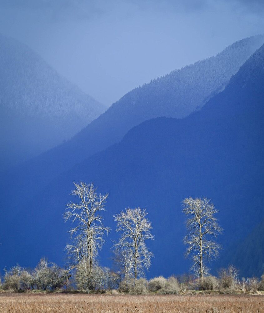 Photograph by Natalia Macoveiciuc