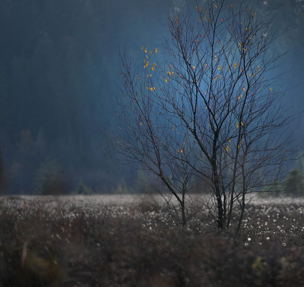 Photograph by Natalia Macoveiciuc