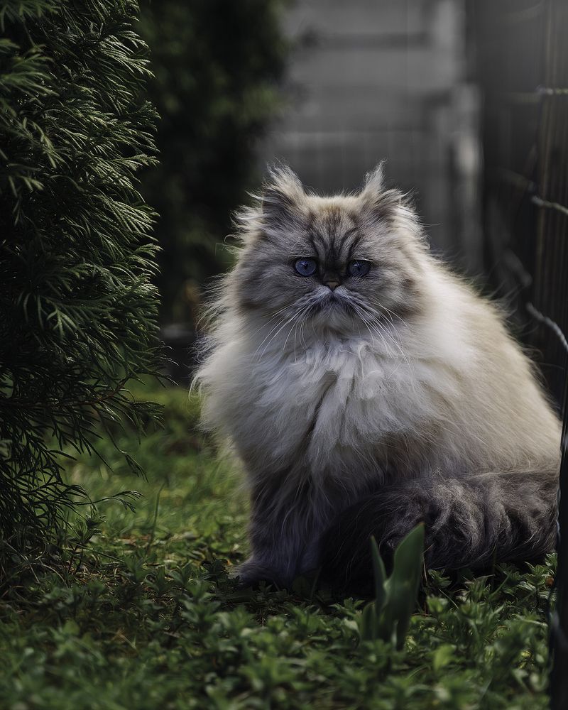 Photograph by Anna Sindikayeva