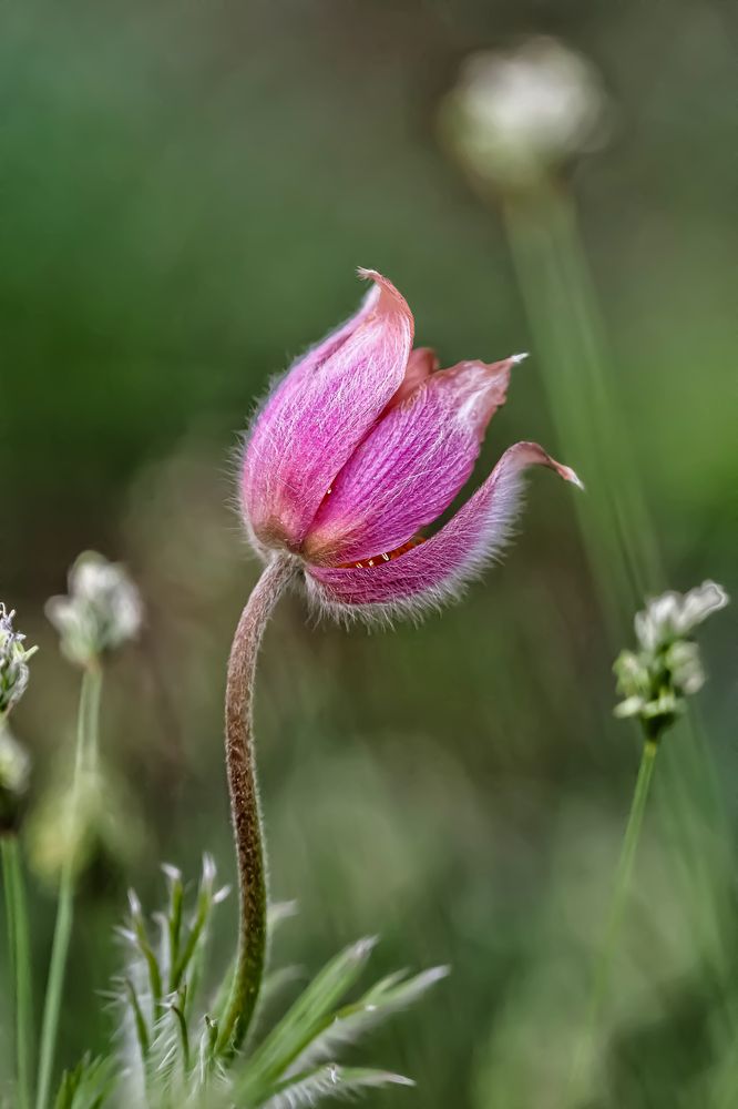 Photograph by Савчук Анатолий