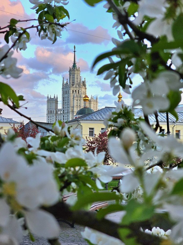 Photograph by Maria Yakovleva