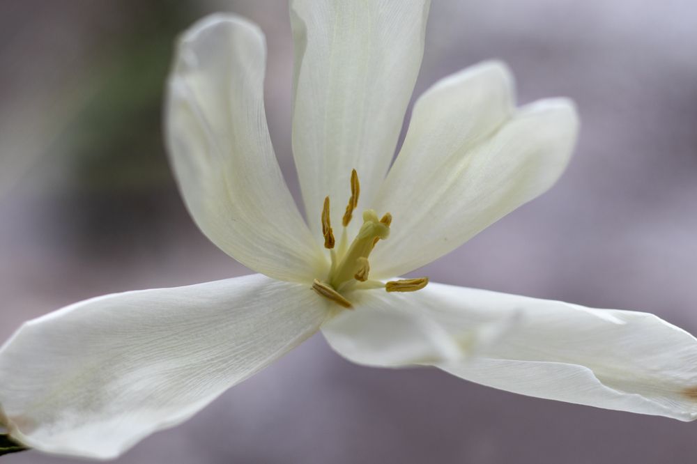 Photograph by Елена Григорьева
