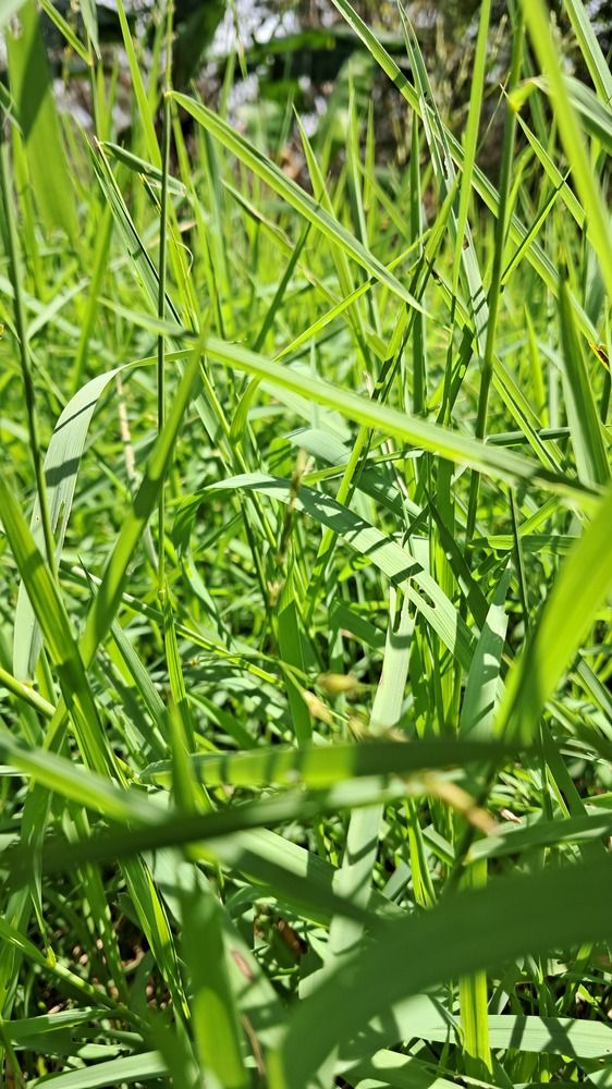 Photo #12172404