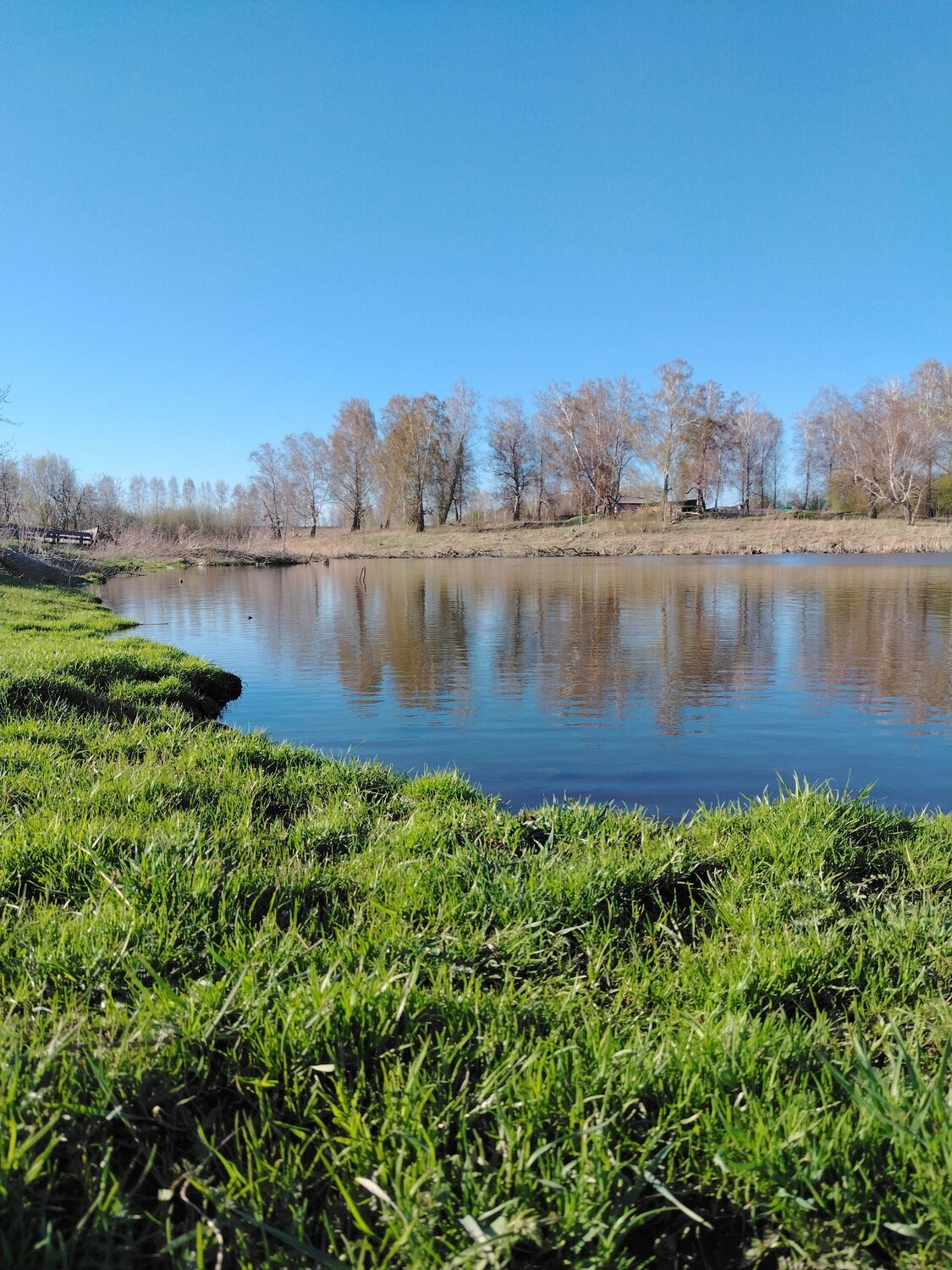 Photo #12172556