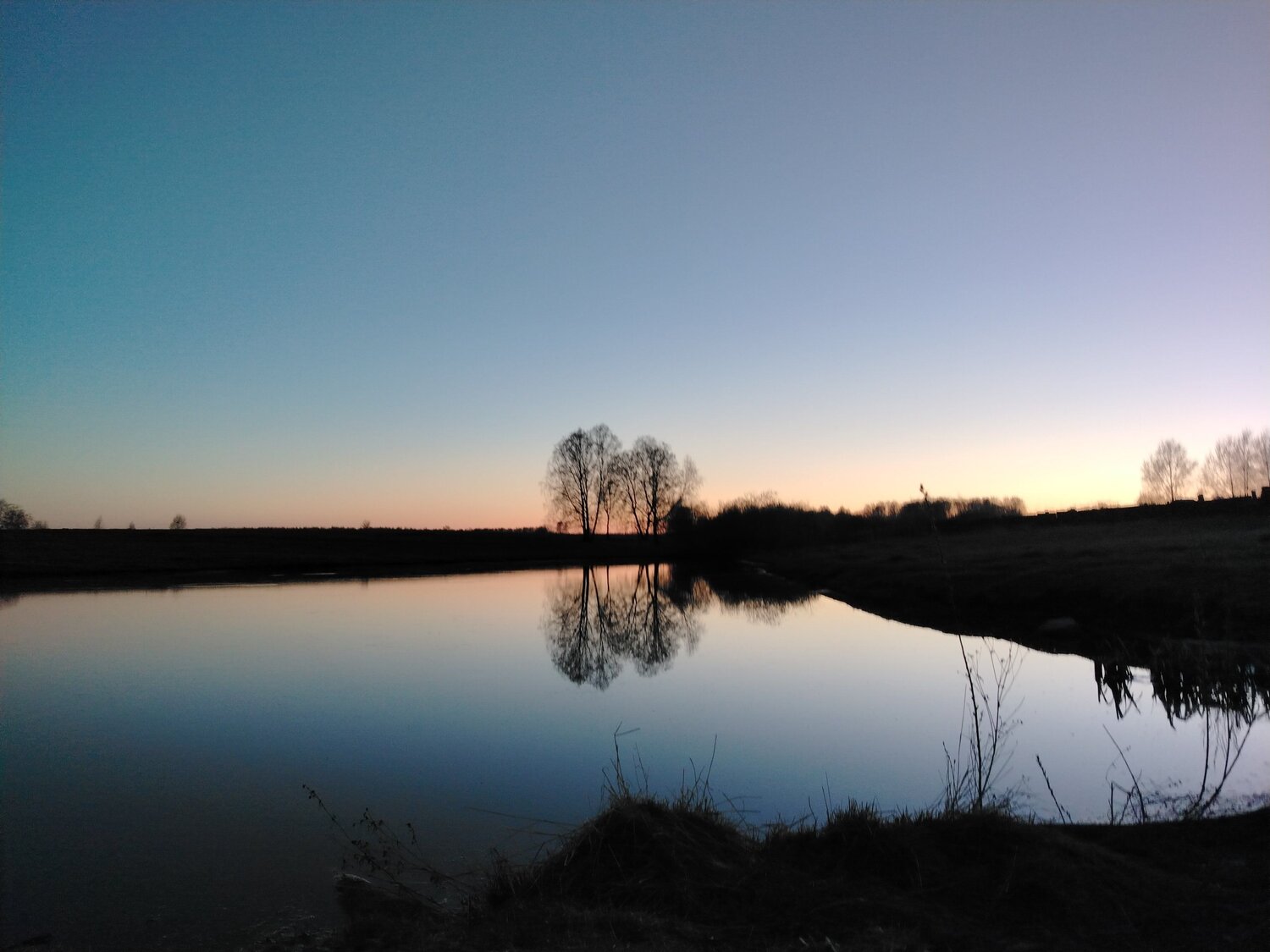 Photo #12172557