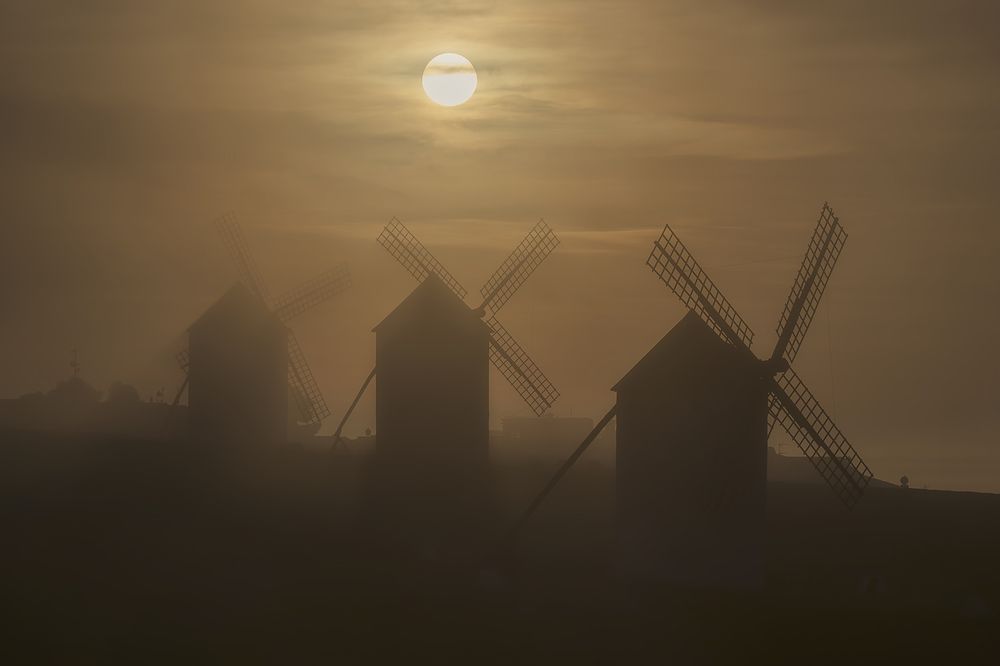 Photograph by Jesús Manzaneque