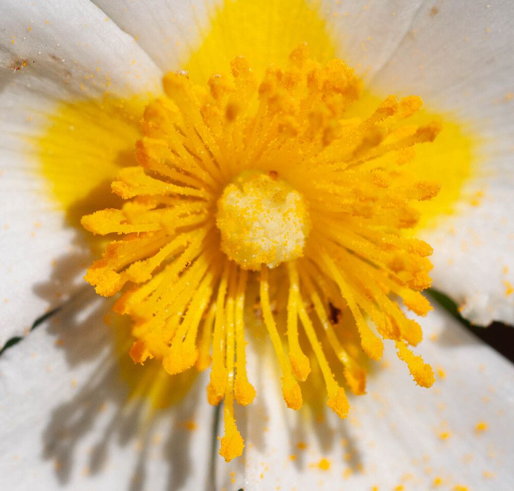 Фотография автора DIMITRIS MPAZIOTOPOULOS