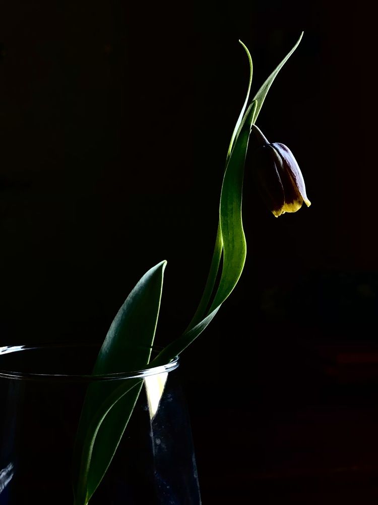 Photograph by Татьяна Новикова