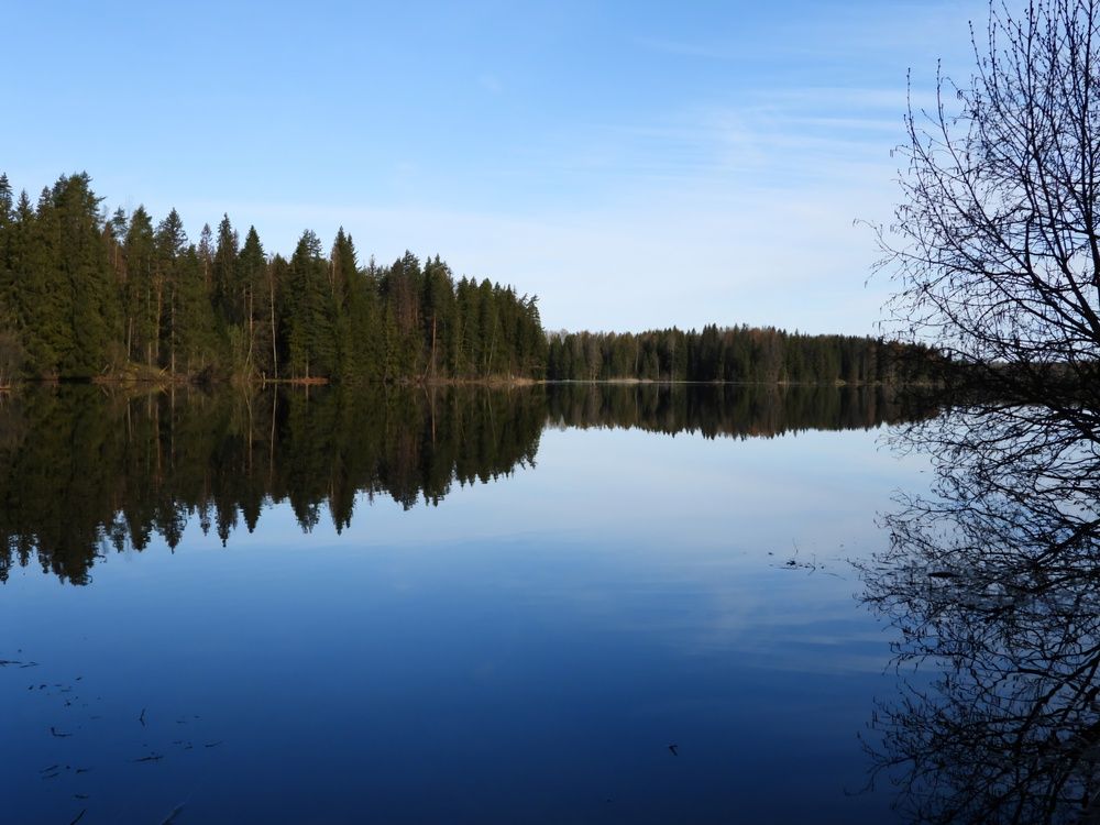 Photograph by Александр Шаварин