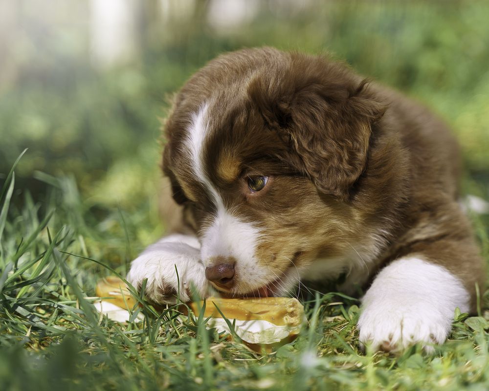 Photograph by Anna Sindikayeva