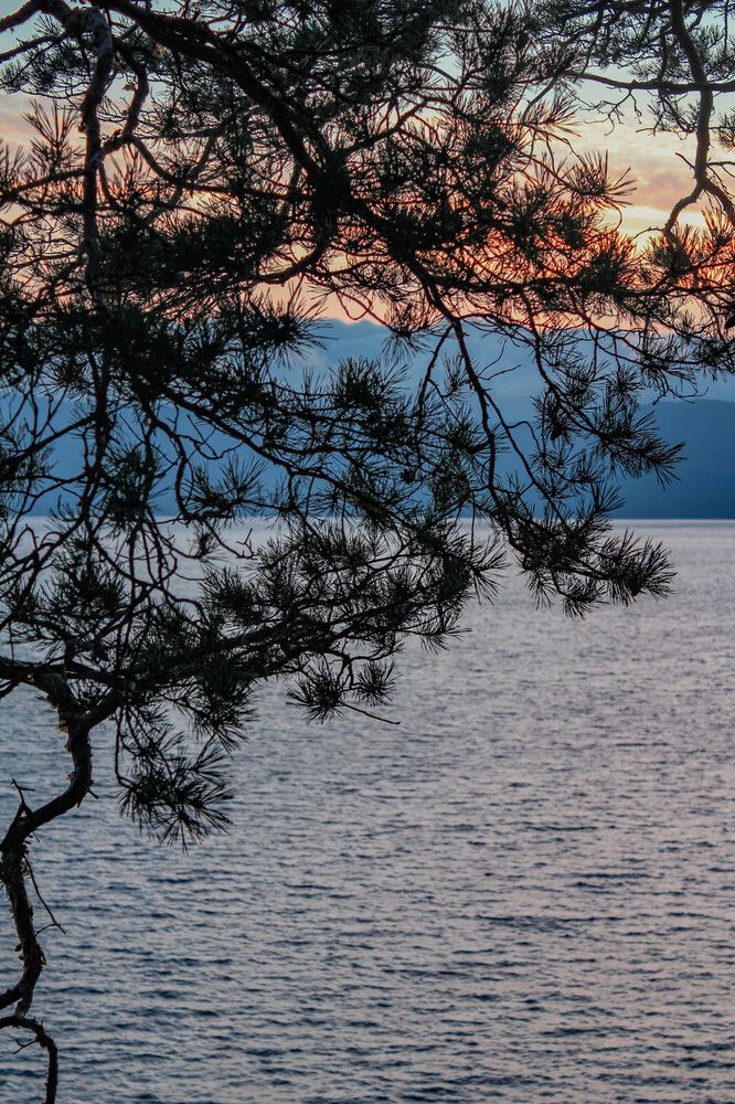 Photograph by Leonid martens