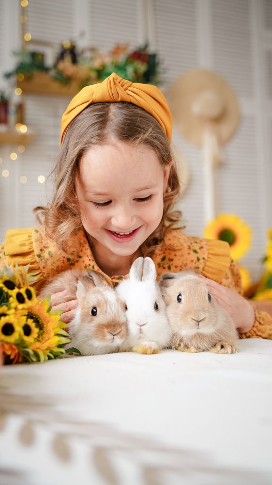 Фотография автора Алена Баулина