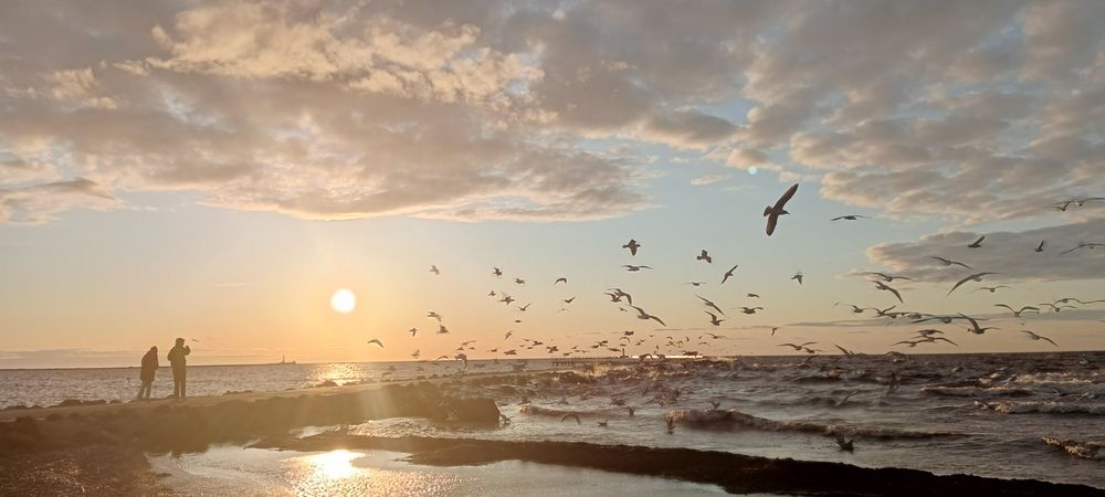 Photograph by Александра Семенас