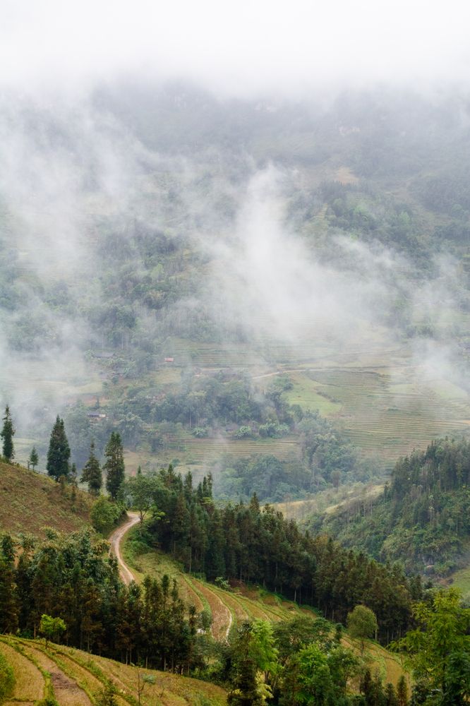 Photograph by Дмитрий Шулаков