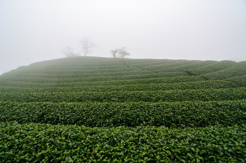 Photograph by Дмитрий Шулаков