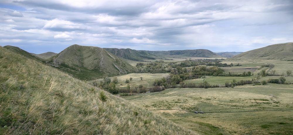 Photograph by Ольга Рыбалова