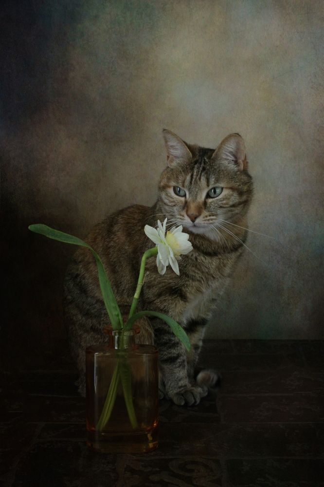 Photograph by Кира Иванова