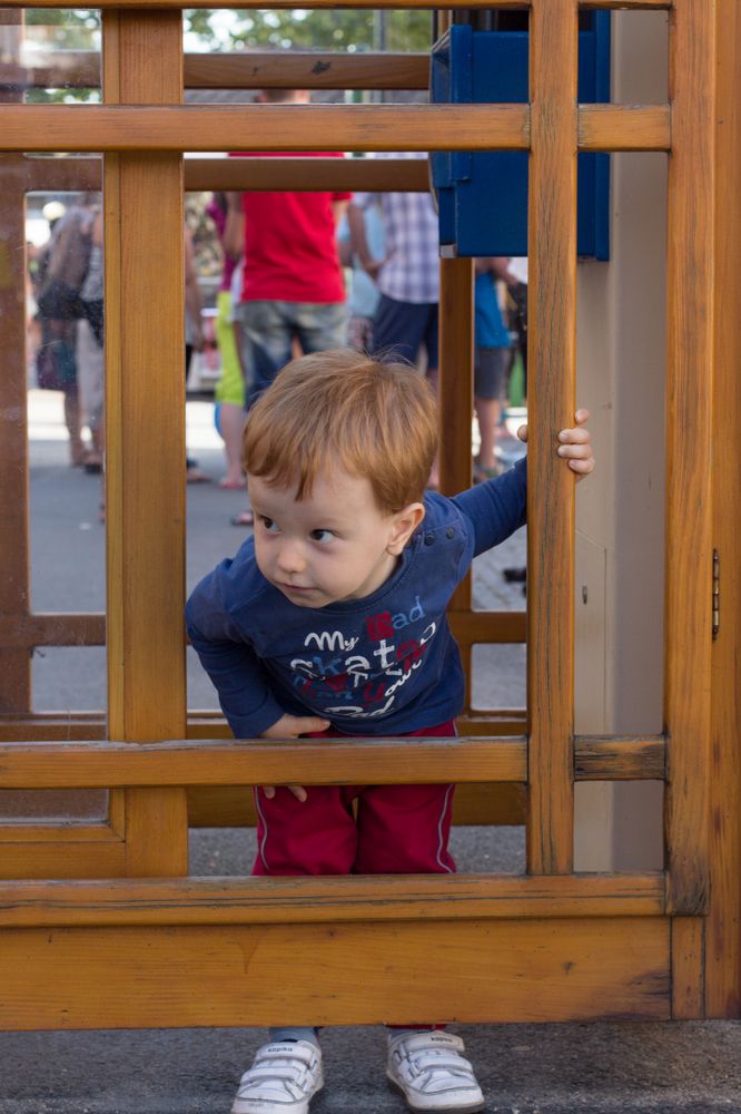 Photograph by Виталий Са