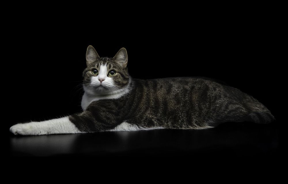 Photograph by Юрий Маслов