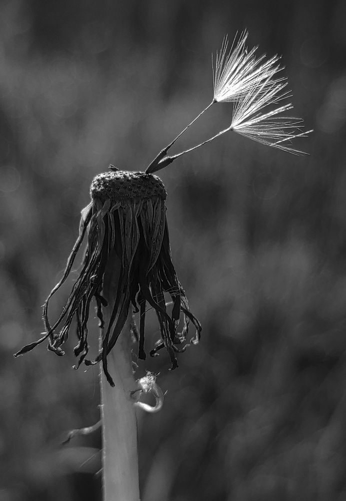 Photograph by ANDREY PERESHEIN