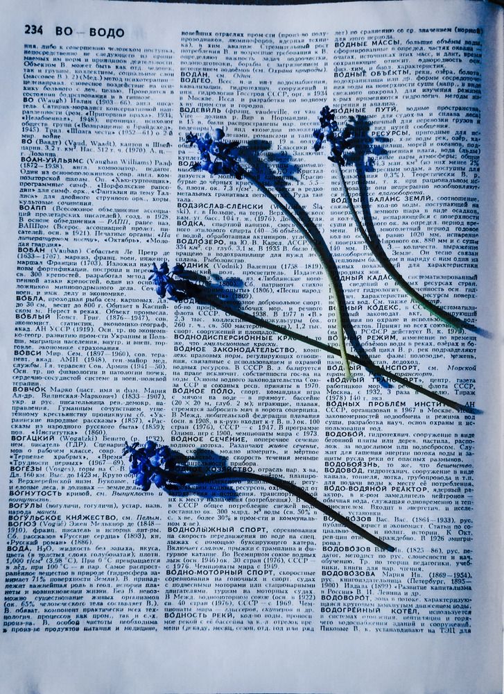 Photograph by Елена Гусева