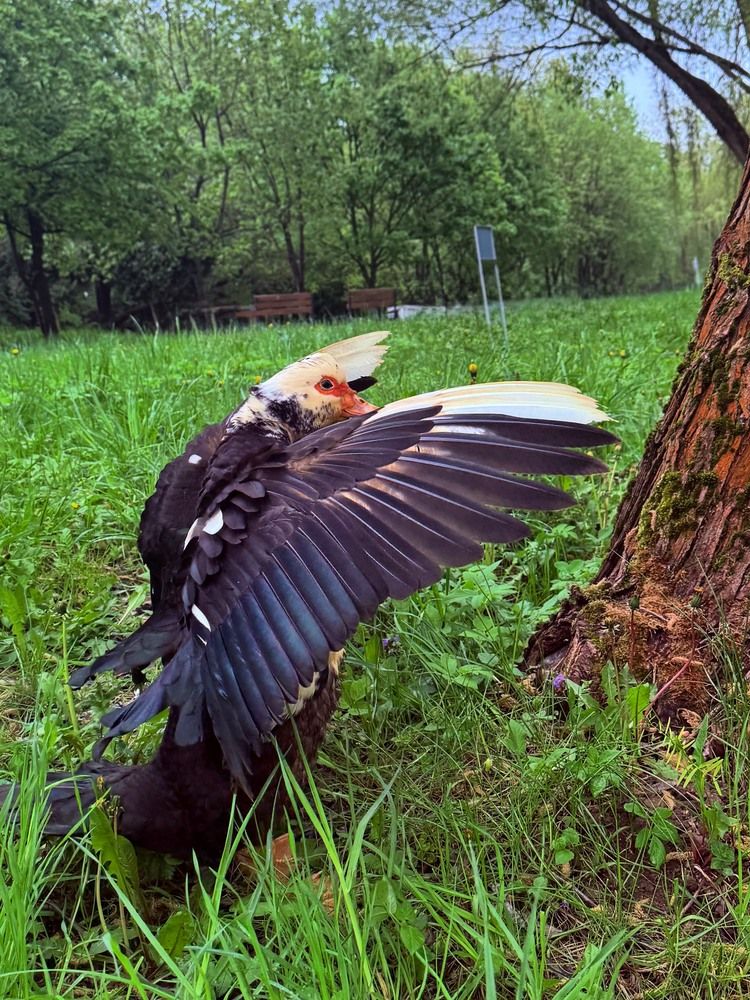 Photograph by Любовь Владимирова