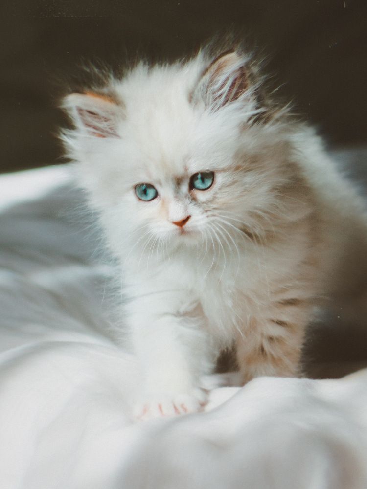 Фотография автора Евгения Никишина