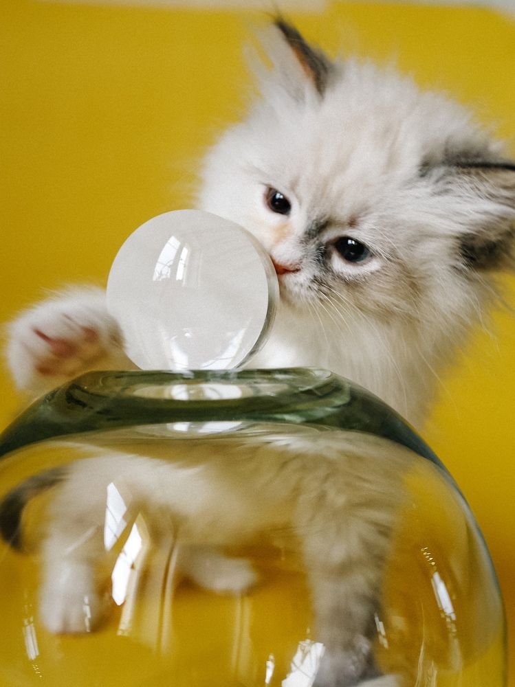 Фотография автора Евгения Никишина