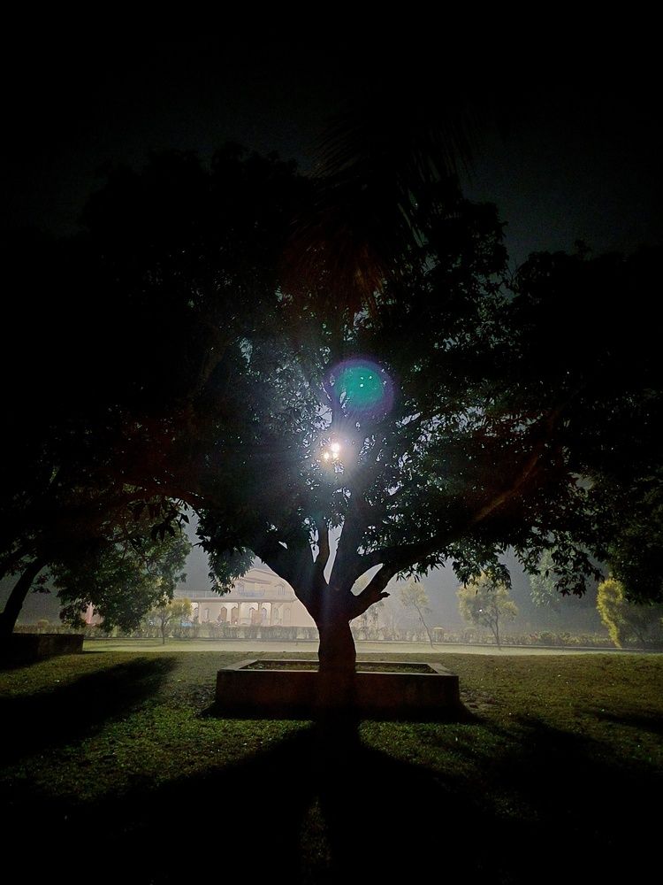 Photograph by Sraman Ghosh