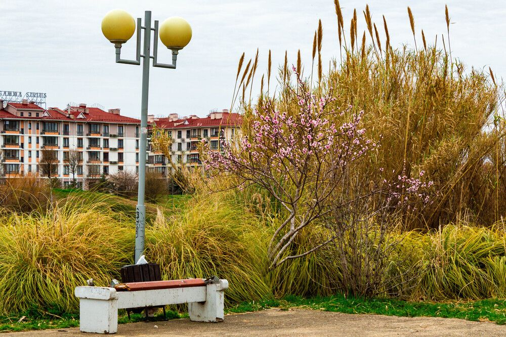 Photograph by Leonid martens