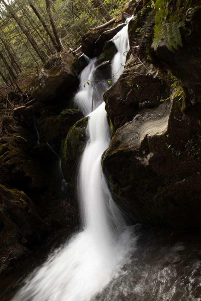 Photo #12173931