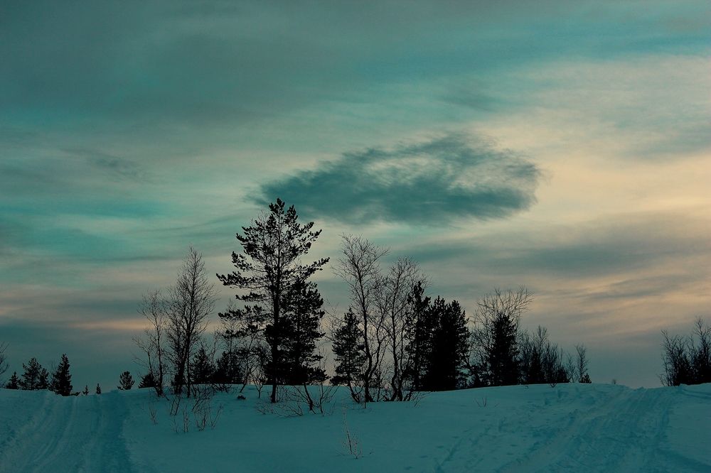 Музыка тишины...