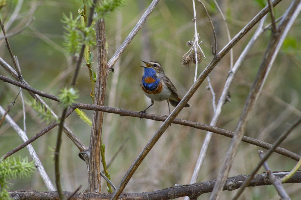 Photograph by Капанов Владислав