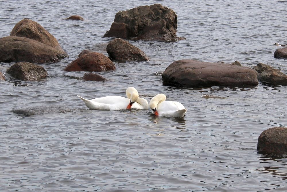 Photograph by Olga Bagaeva