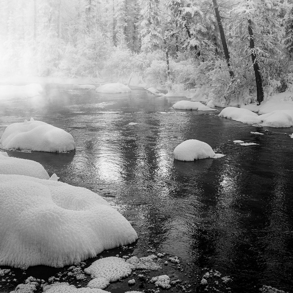 Photograph by Borjigon Bayasal