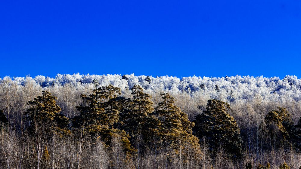 Photograph by Leonid martens