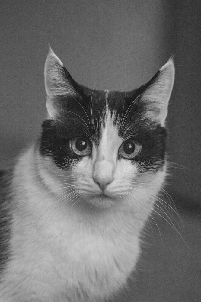 Photograph by Leonid martens