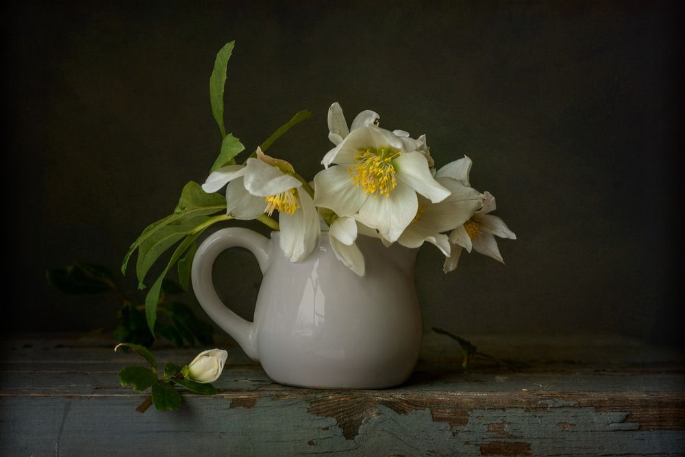Photograph by Рюмина Ляля