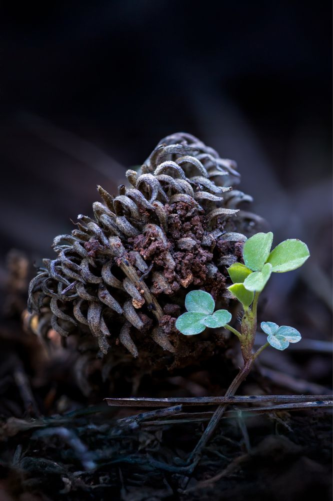 Photograph by tal molco