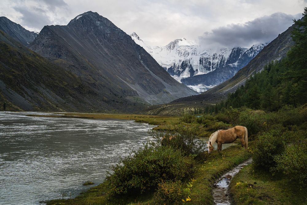 Фотография автора Юлия Есина