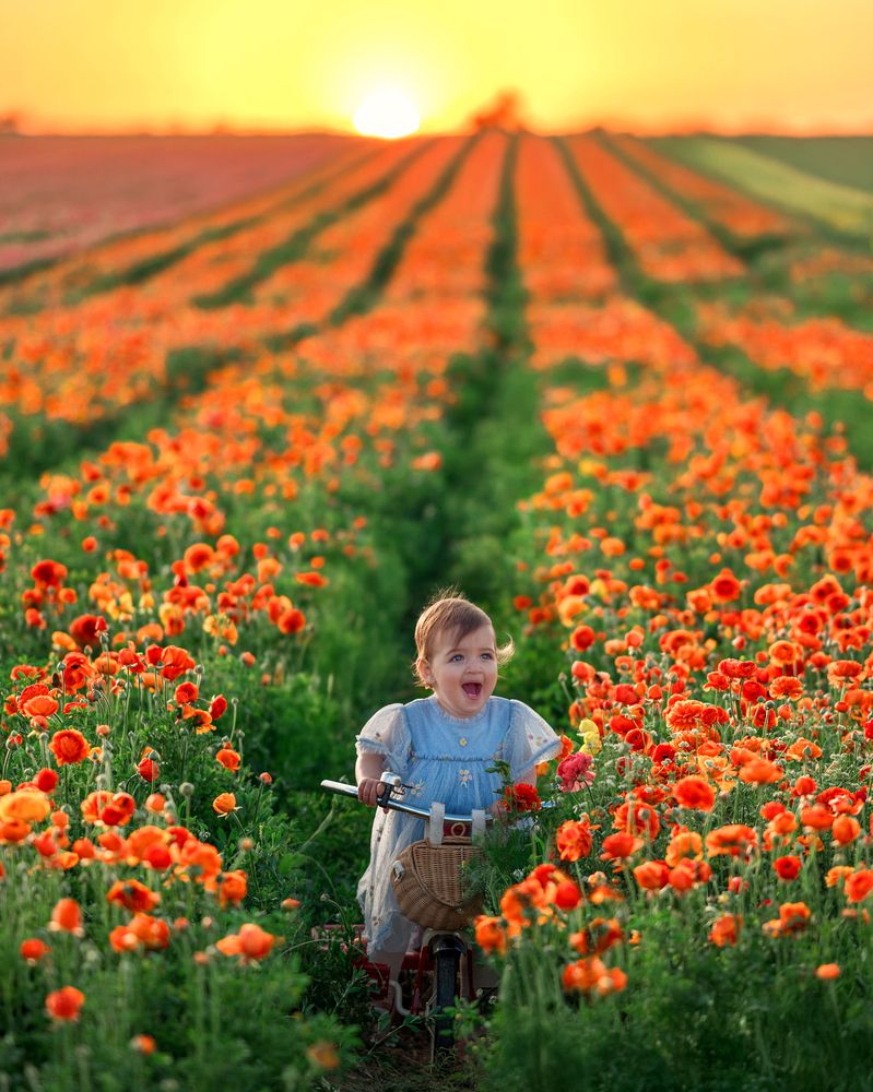 Photograph by מיכל אבנד